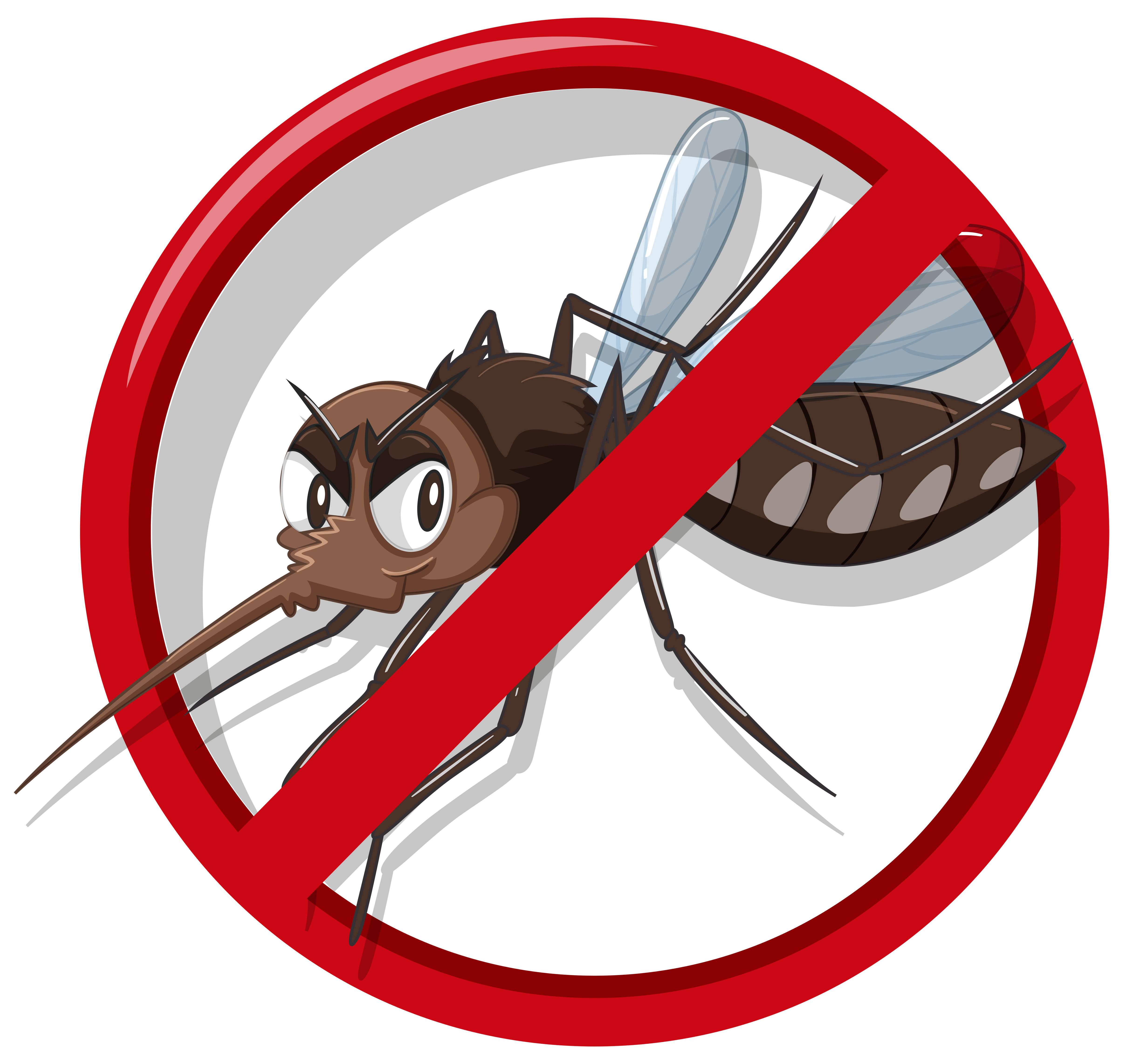 Saiba o que é o Plano de Gerenciamento para Prevenção e Controle de Dengue – PGPCD